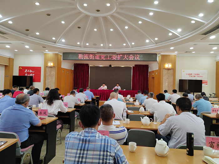 抓落实出实效，勒流学习宣传贯彻省第十三次党代会精神