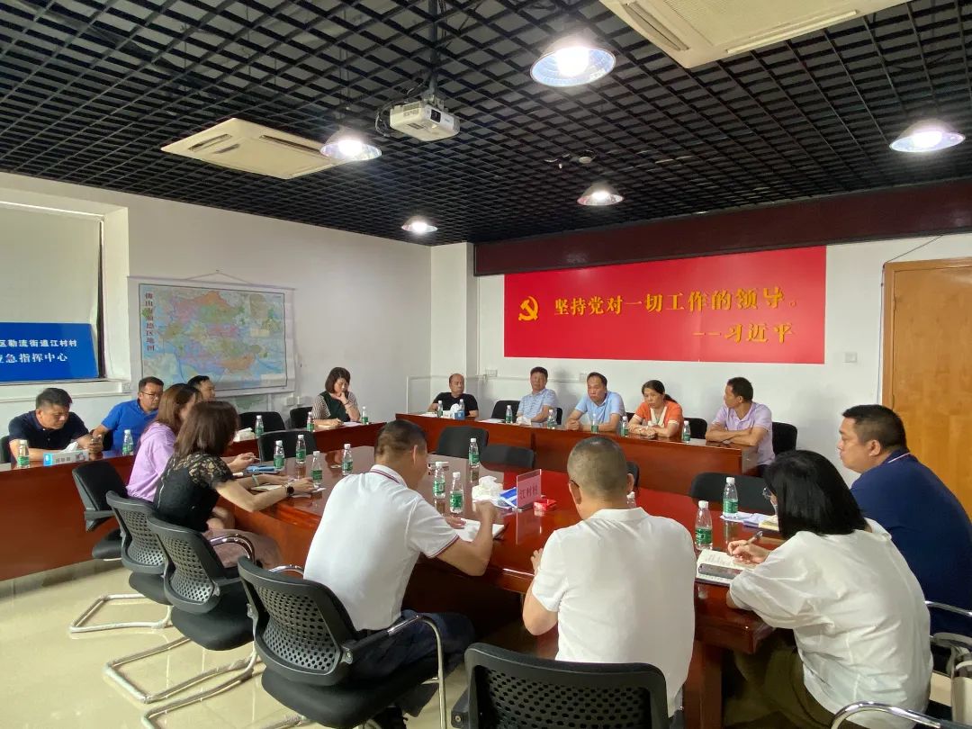 勒流：人大代表监督推动，助力做好村改后半篇文章