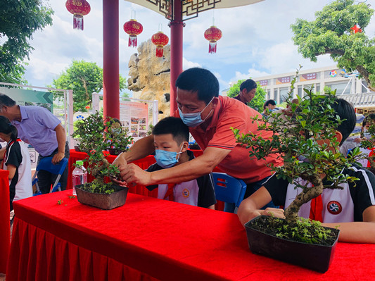 聚合各方力量！容桂欲把小盆景做成大产业