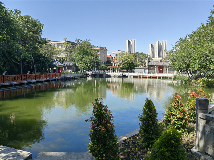 水清景美！北滘镇黄龙金地涌及周边环境大变身→