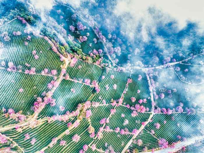 壹周美图：雾里看花，唯美浪漫
