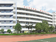 教育、交通两手抓！北滘民生基础设施全面升级