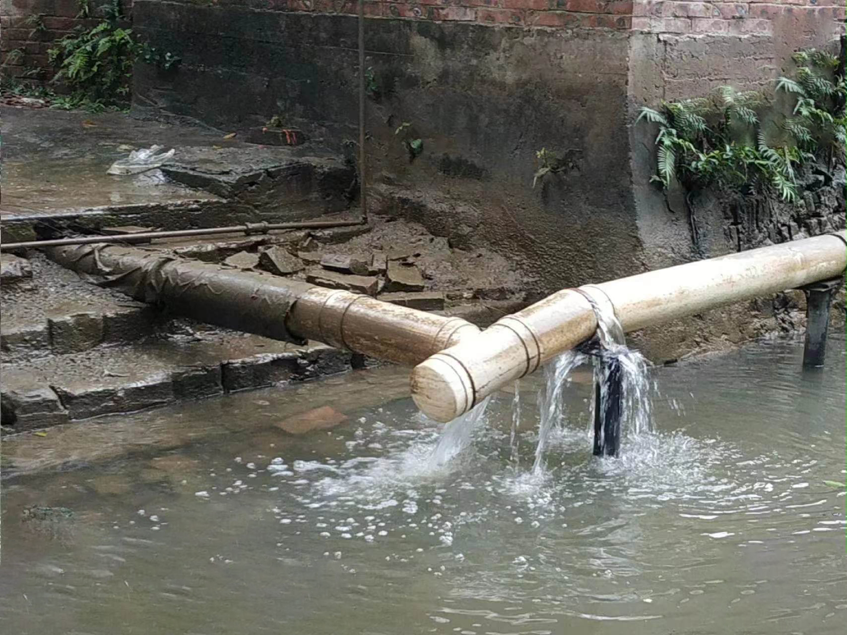 水质连续超标？北滘深入排查水污染源头