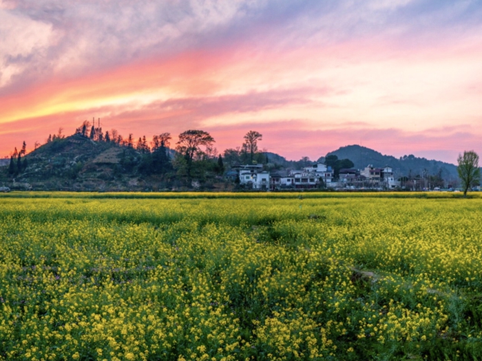 壹周美图：绯红晚霞，如画美景醉人心