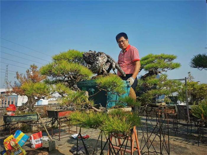 五一“N”种方式玩转勒流，每天变着花样玩
