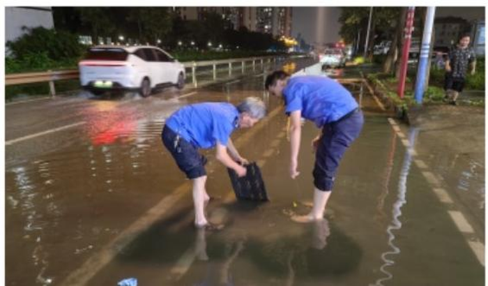 疏下水道、开排水渠！陈村全力解决“水浸街”问题