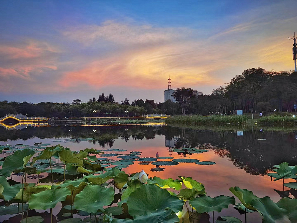 壹周美图：夏日夕阳，湖光山色