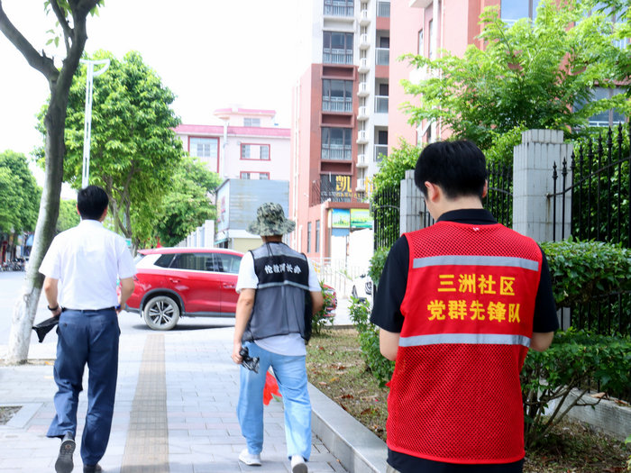 守护碧水清流！伦教开展“巡河护河 党员先行”主题党日活动