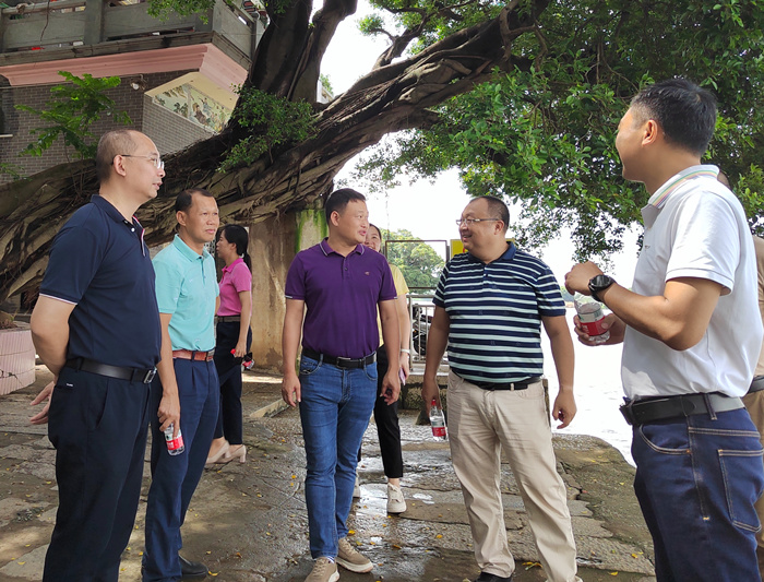 勒流：人大代表深入调研，助力以水兴城