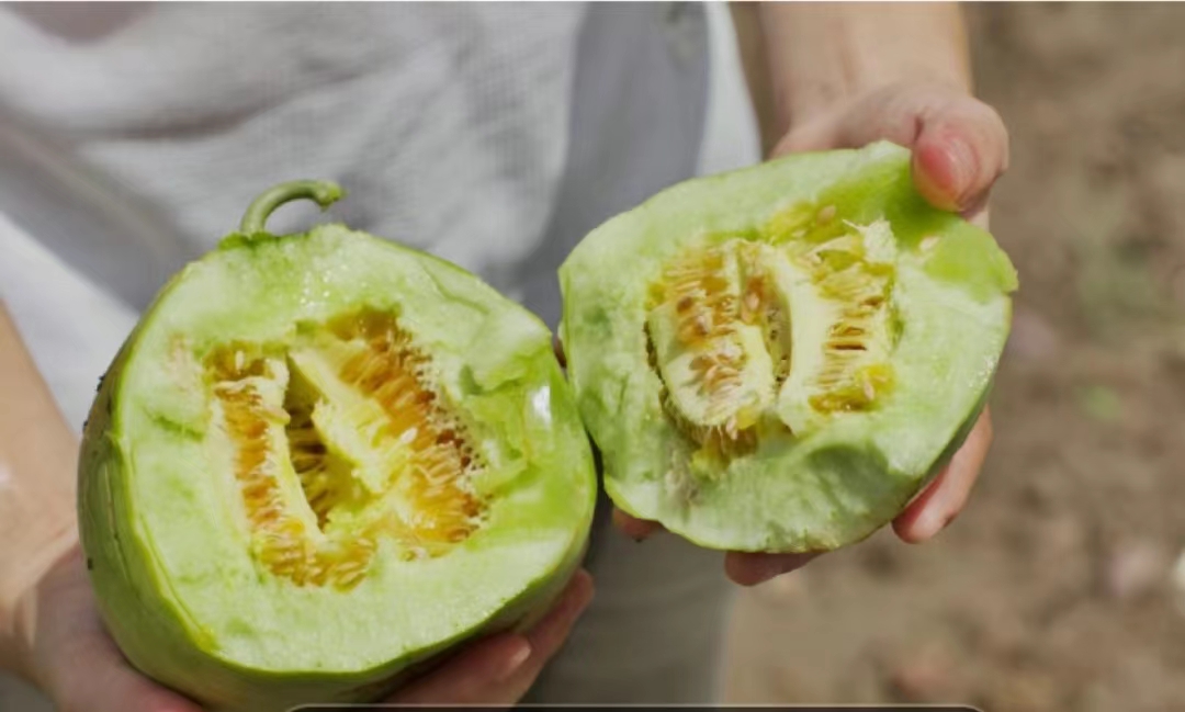 顺德夏日摘果好去处，赶紧约起来→