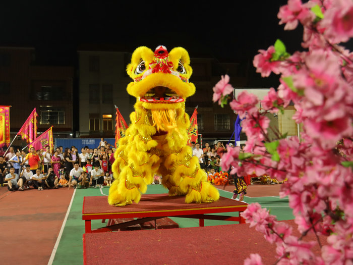 精彩！伦教市民运动会武术·醒狮表演赛精彩上演