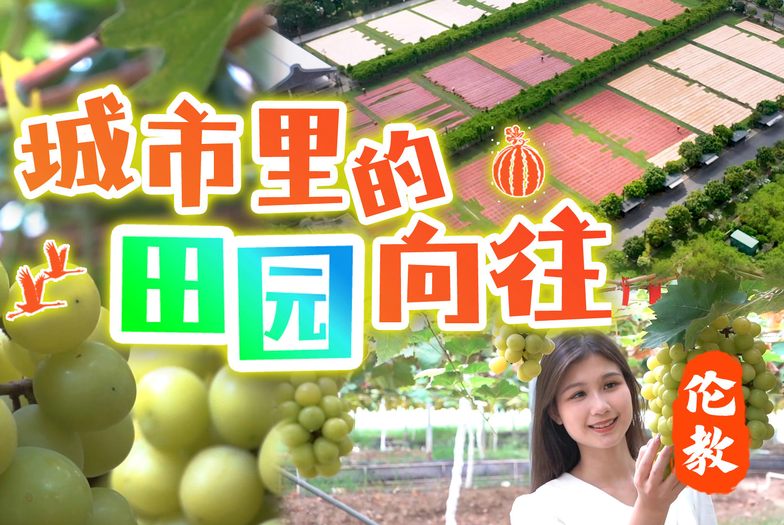 “云打卡”省级环境教育基地，感受生态伦教的魅力