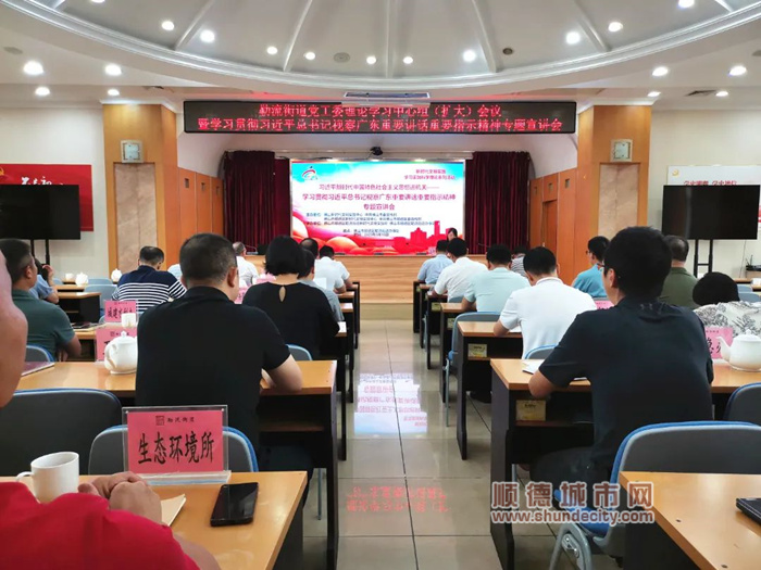 勒流：学习贯彻习近平总书记视察广东重要讲话重要指示精神