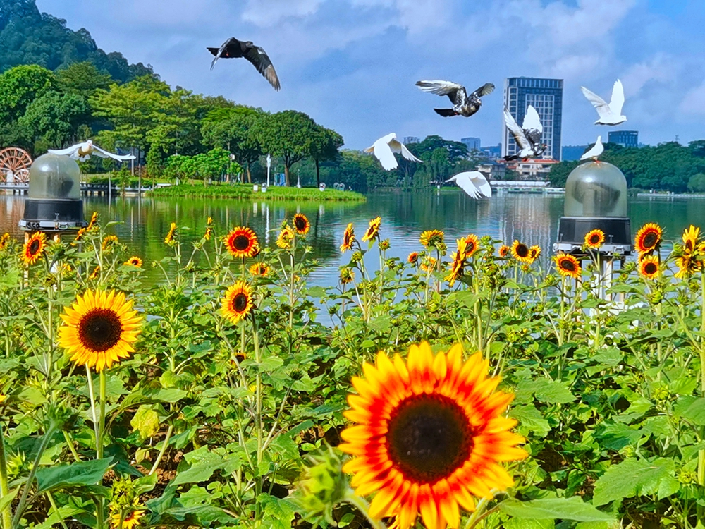 壹周美图：在顺峰山公园，尽赏鸟语花香