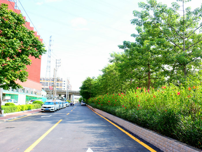政企合力提升城市品质！伦教湖景山庄周边道路焕然一新