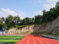 参与式预算：顺德29处地质灾害隐患点已完成综合治理