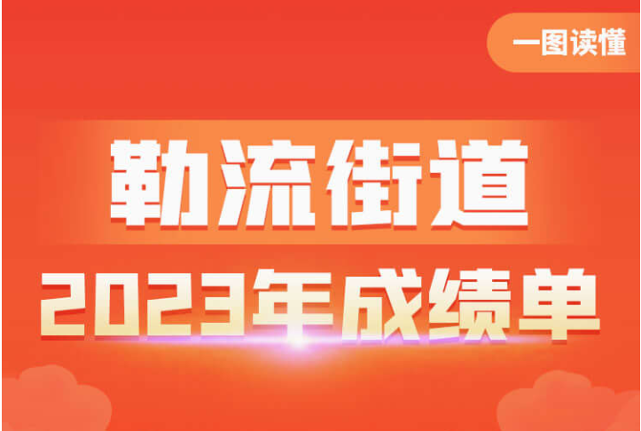 一张图带你读懂，2024年勒流这样干