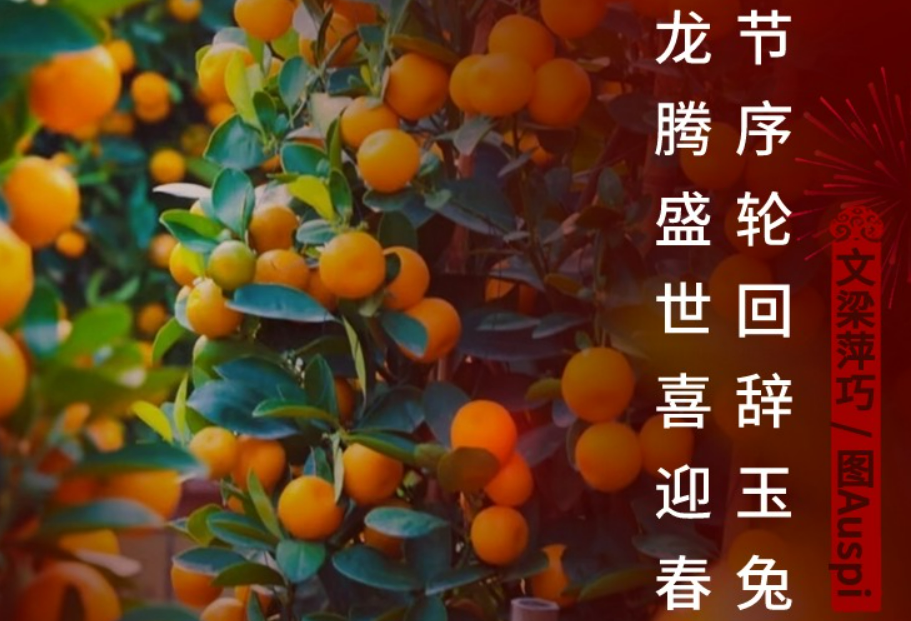 龙年大吉！初一到初八，顺德网友拜年啦