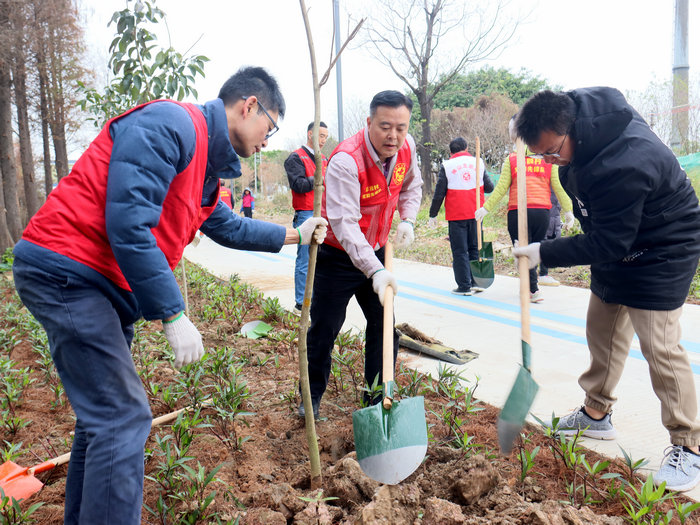 伦教“含绿量”再刷新！党群同心共绘乡村新画卷