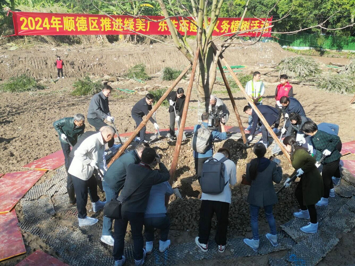 顺德种下云鹭片开发“第一棵树”，鹭鸟天堂正式开启“扩容之路”