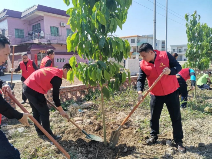 植绿添新！均安南沙为绿美广东生态建设注新能