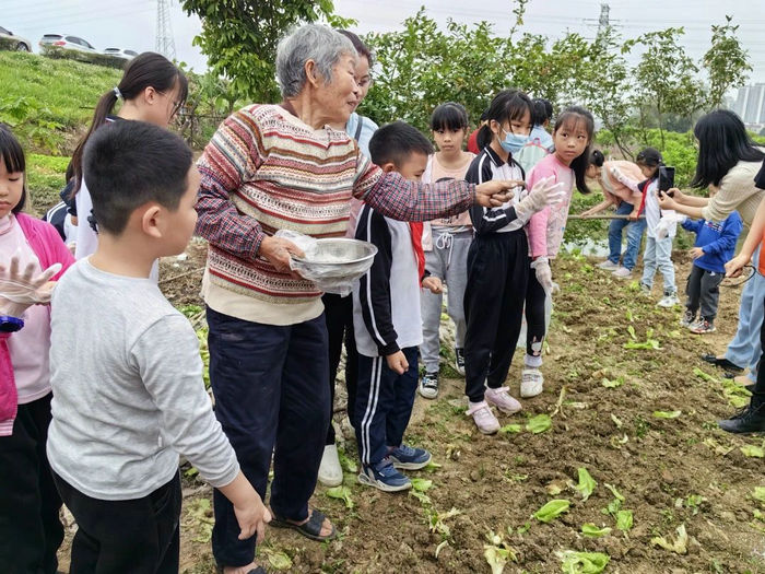 容桂龙涌口：体验农耕乐趣，品尝乡村美食