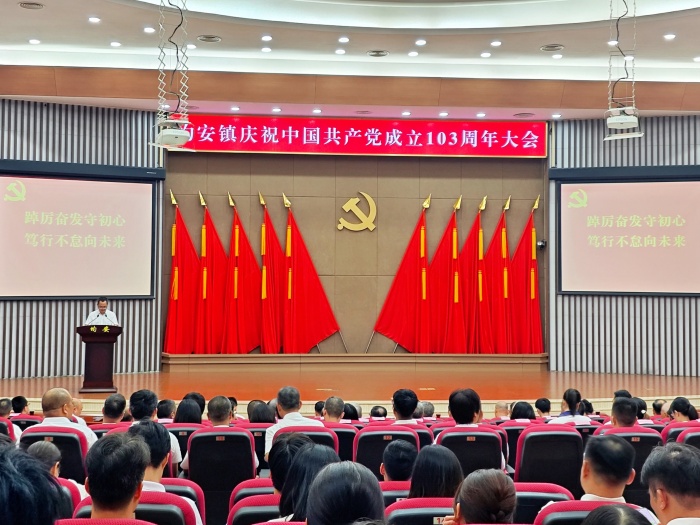向老党员致敬！均安认定18个“2024年先进基层党组织”