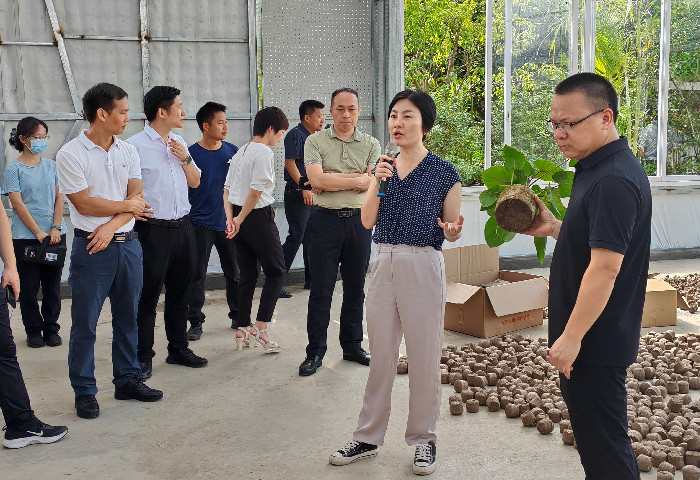 陈村：共谋共建绿美城乡环境，以实干抓出成效