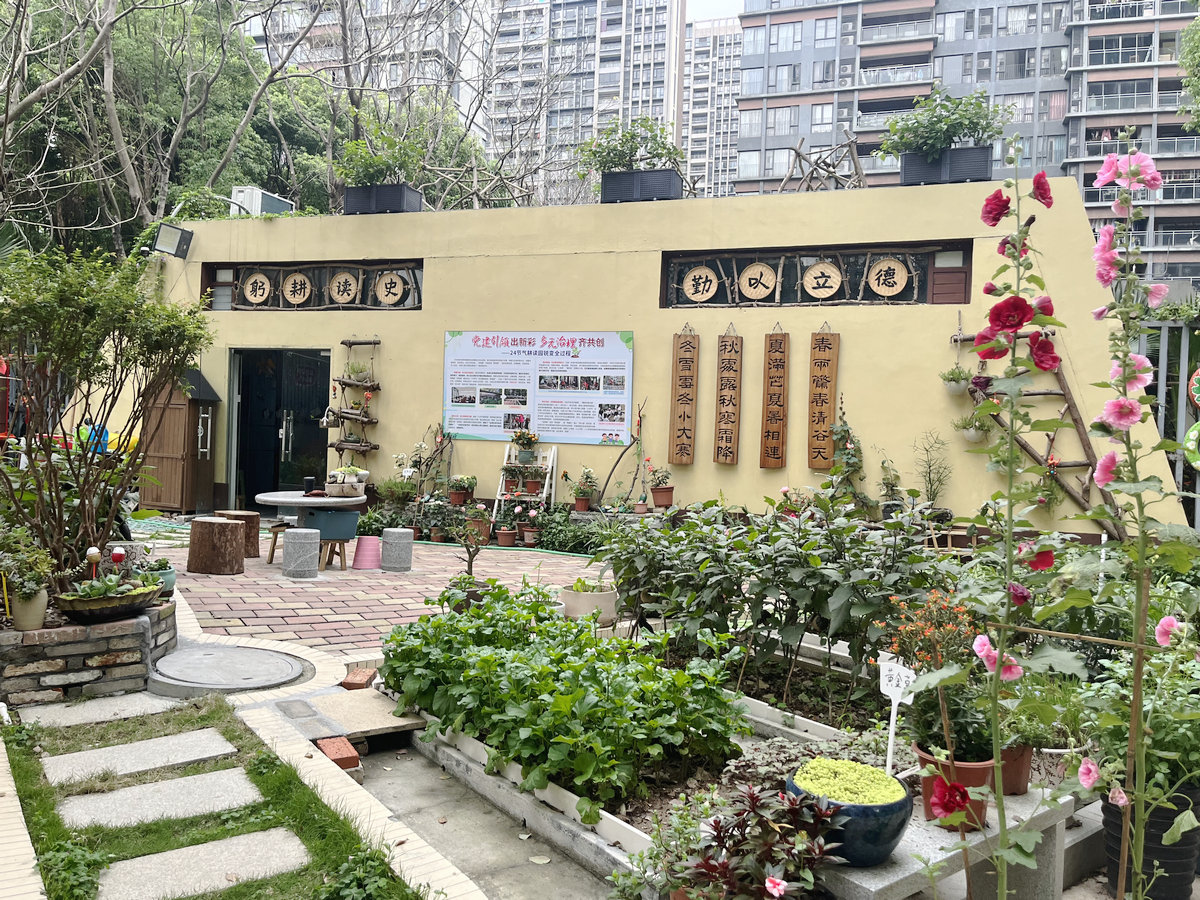 陈村2024“美丽庭院”公布，你中意哪一款？