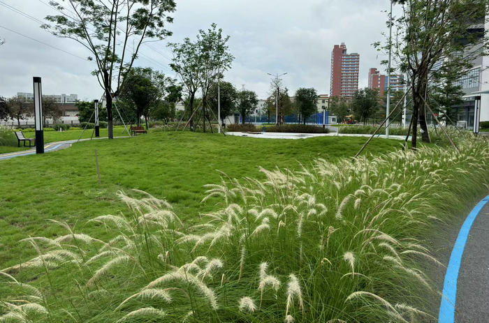 动“企”来！绿美容桂扮靓城市风景线