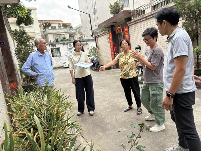 均安沙头：社会力量成为浇灌“百千万工程”的无穷活水