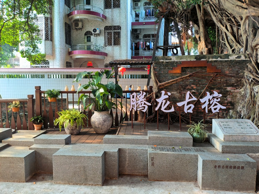 万万没想到，200岁的祠堂可以这样改造！？