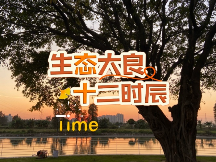 生态大良：每一个时辰都是一个音符