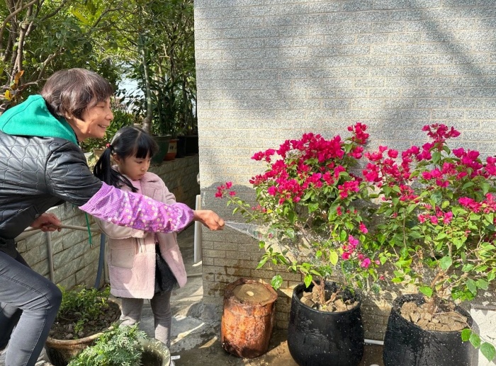 街巷“新生”！勒流富裕聚力共建“花街美巷”