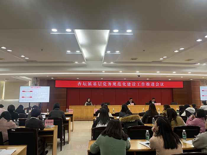 杏坛：坚持问题导向，全面规范基层党务工作