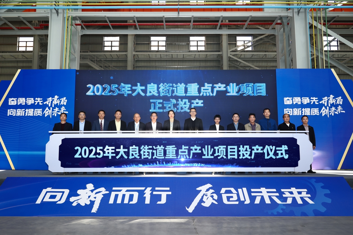 近24.5亿元迎新年！顺德大良10个重点项目集中投产