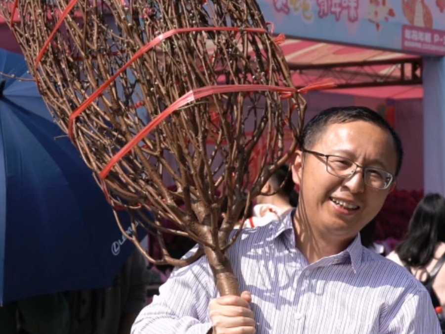 【视频】扛花回家啦！顺德年味值拉满