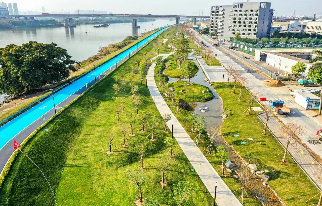 大良五沙：逐“绿”追“美”，风景这边更好