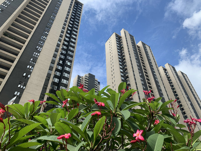 顺德楼市一季度成交领跑佛山，大良伦教成“热销担当”