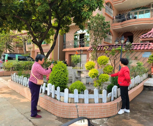 沙边又变美了！“美街美户”齐行动添新绿
