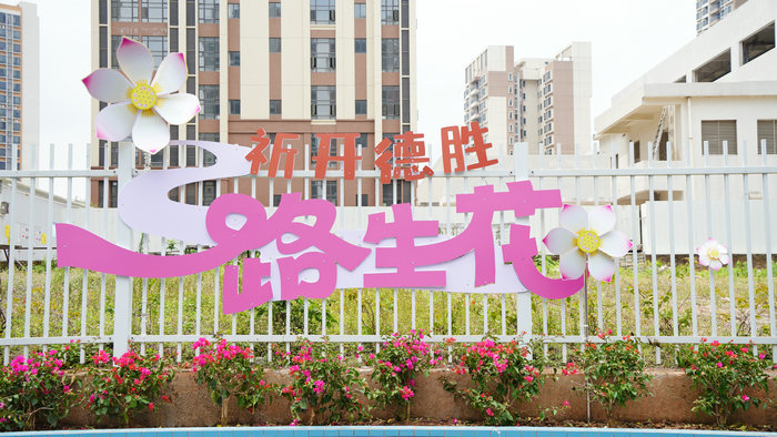 壹周顺德：花开满巷的“容桂风景”