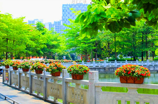 绿美路州焕新颜，绘就乡村新画卷