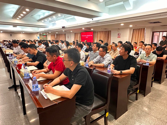 乐从镇：以严实作风护航高质量发展