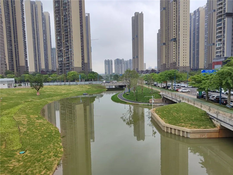 水浸街消失了，还多了休闲运动亲水空间