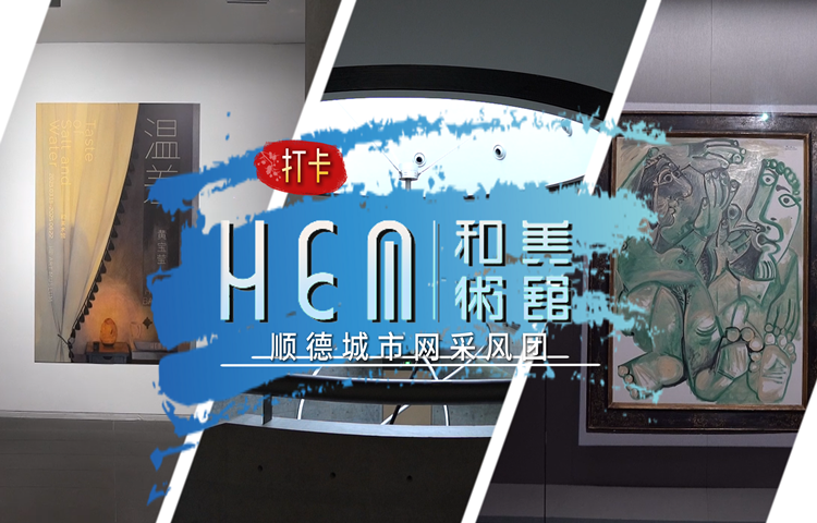 感受顺德美！顺德城市网采风团走进和美术馆