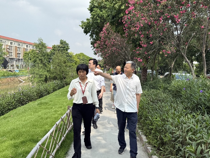 重点民生项目进展如何，政协走访跟进