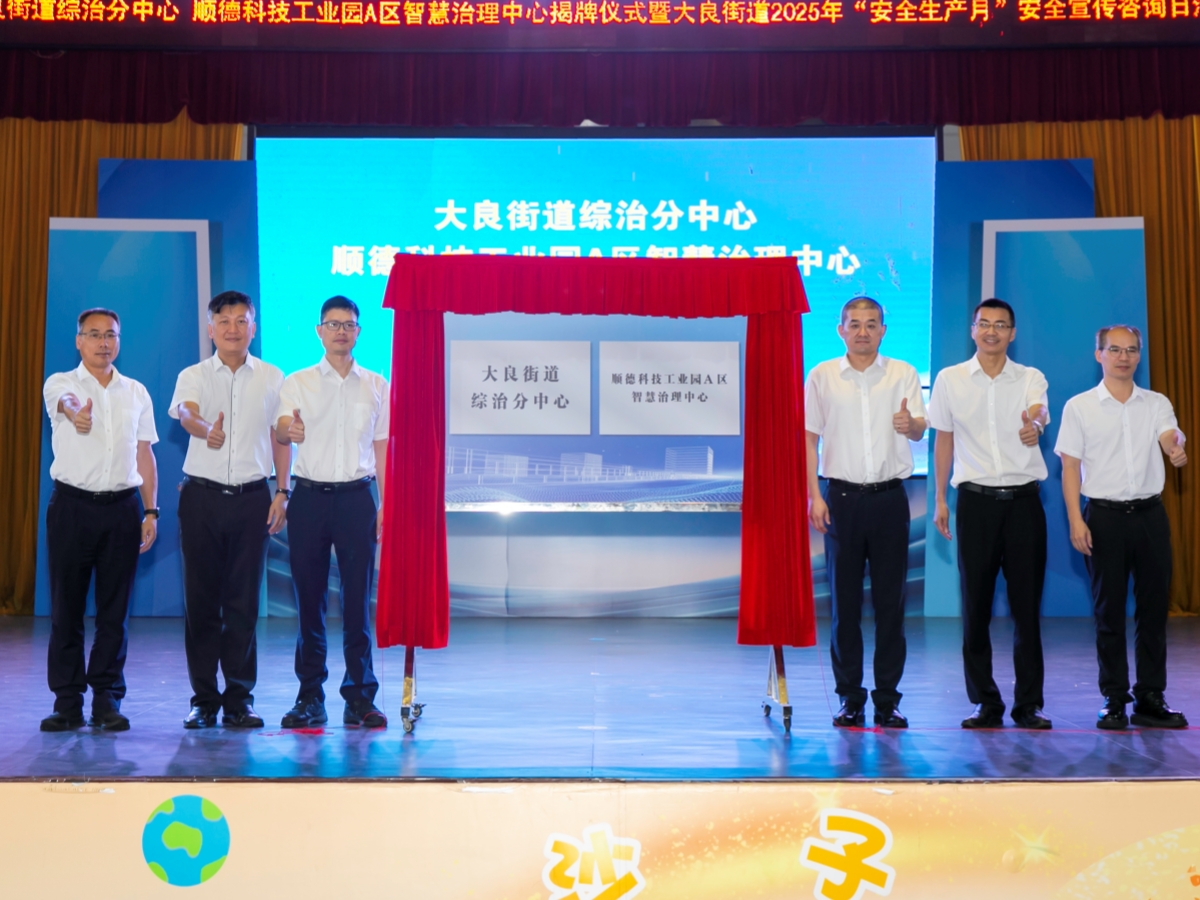 大良两中心挂牌 创新园区治理模式