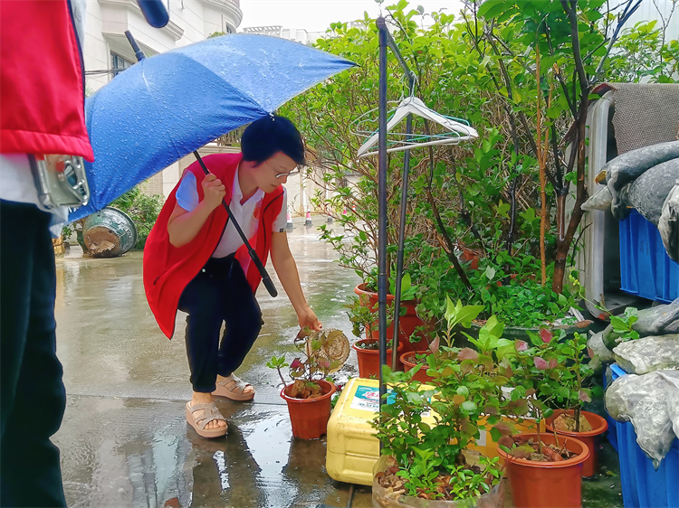 容桂：风雨无阻，党群同心共筑防蚊屏障