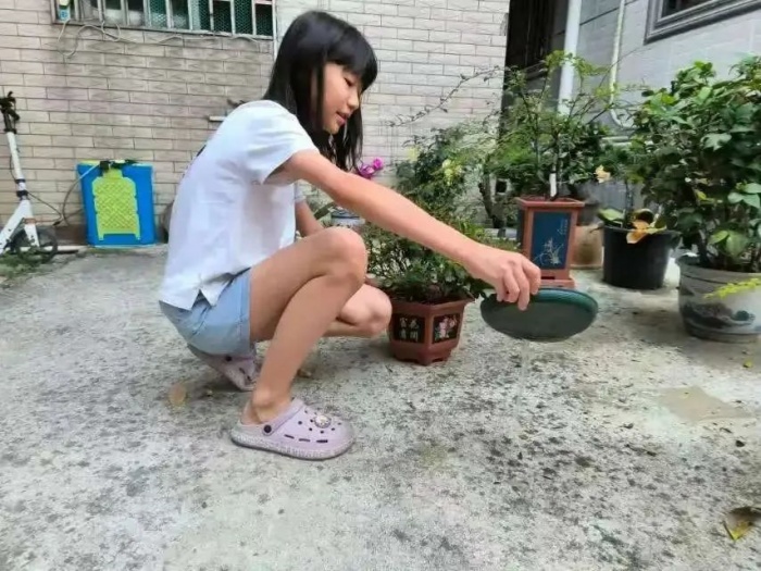 点赞！顺德学生化身家庭防蚊“主力军”