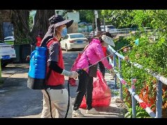 杏坛罗水以“约”促治织密“防蚊网”